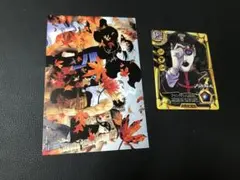 【特典】ブラッククローバー 37巻 イラストカード＋カード アニメイト