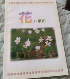 Item thumbnail for item 1232dd40-5151-43fb-bb78-7cd28575c180