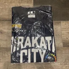 2026年最新】パナソニックパンサーズ tシャツの人気アイテム - メルカリ