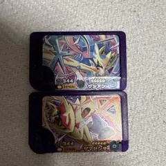 ザシアン　ザマゼンタ ポケモンフレンダ　ベストタッグ　第三弾