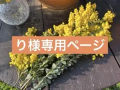 【り様専用ページ】三角アカシア