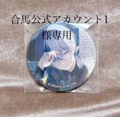 プロセカ 青柳冬弥 グリ缶 16C まとめ売り プロセカ グリッター缶バッジ グリ缶 5B 特典 青柳冬弥 神高祭