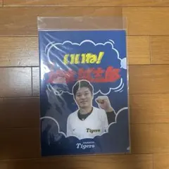 Item thumbnail for item 04332cfc-01c0-423a-880a-0294d3344766