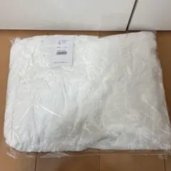 Item thumbnail for item 651c205b-d20a-4917-b9ae-cea3fad5b59a