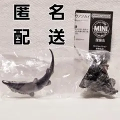 いきもの大図鑑 MINI 深海魚 ミニチュアコレクション ミツクリザメ