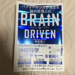 BRAIN DRIVEN - 青垣瑞著