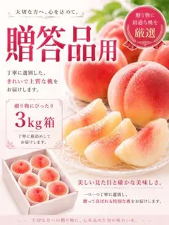 JA和歌山（紀の里 東部）紀の里の桃 『なつっこ』 赤秀 12玉 約4kg×2箱 JA和歌山（紀の里 東部）紀の里の桃 『なつっこ』 赤秀 12玉 約4kg×2箱
