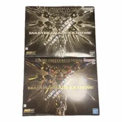 2026年最新】1/100 MGEX ZGMF-X20A ストライクフリーダムガンダムの