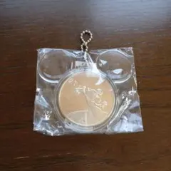 ディズニーシー1周年記念キーホルダー 激レア‼︎ 東京ディズニーシー 1周年記念 ミニー ぬいぐるみ