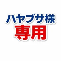 ハヤブサ様専用　チョコエッグ　ポケットモンスター旅立ちの3匹　4体分