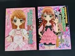 極上!!めちゃモテ委員長 ファンブック 2冊セット