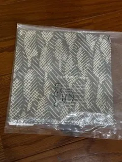 Item thumbnail for item 8f0f42da-5bf9-460c-8d5f-567186b372af