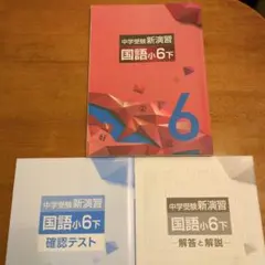 【未使用】中学受験新演習 国語 小6下 テキストセットのサムネイル