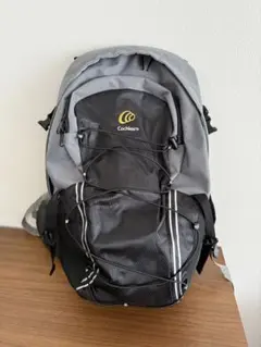 Item thumbnail for item f41119e4-9f17-47d2-8f0a-392cc1b902a4