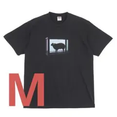 2025年最新】ダミアンハーストの人気アイテム - メルカリ