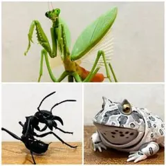 【いきもの大図鑑】３個セット　カマキリ、アリ、カエル