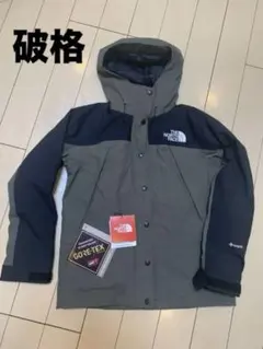 THE NORTH FACE MOUNTAIN LIGHT JACKET