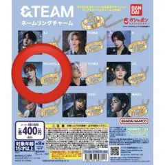 &TEAM ネームリングチャーム Nicholas