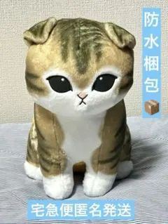 「最終価格」mofusand えびにゃんBIGぬいぐるみ 〜おぱんつ〜