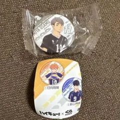 ハイキュー　くら寿司　コラボ　缶バッジ　宮治