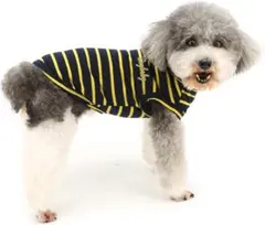 Item thumbnail for item f5607b36-51c3-44e7-be23-25fb39e2b5e7