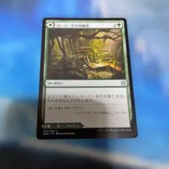 MTG 바라게드의 부활