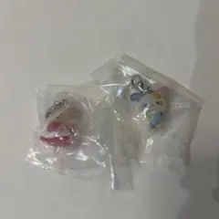 サンリオキャラクターズ ミニチャーム 2個セット