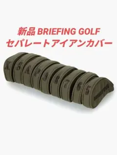 Item thumbnail for item 4aff669e-f421-4864-acd6-d7c2512adfed