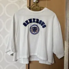 ホワイト半袖Tシャツ Lサイズ