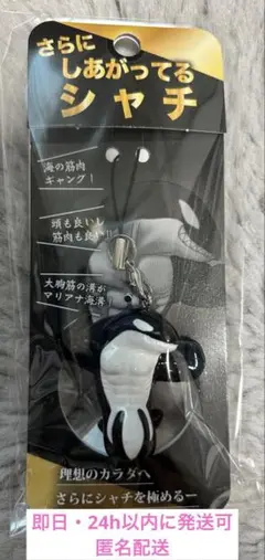 【新品未開封】さらに　しあがってるシャチ　須磨シーワールド　岩本照　即日発送可能