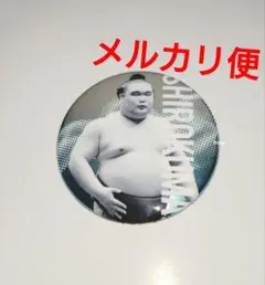 大相撲 国技館 ガチャ 関取全員集合 缶バッジ 白熊