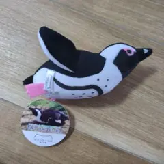 昭和レトロ】 ペンギン×くま 着ぐるみ ぬいぐるみ 南極探検隊 - メルカリ