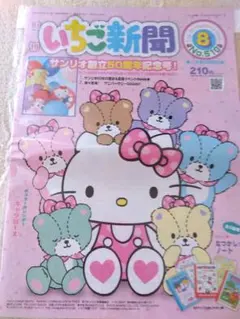 いちご新聞 2003.2004年10冊セットまとめ売りハローキティ平成レトロレア いちご新聞 2003.2004年10冊セットまとめ売りハローキティ平成レトロレア その他