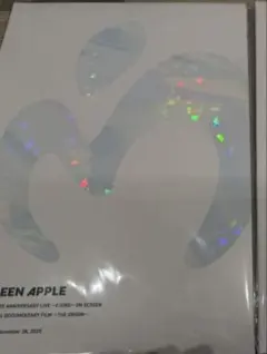 ミセス 映画　パンフレット フィヨルド　オリジン