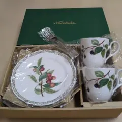 Noritake ロイヤル オーチャード モーニングプレートペアセットフォーク付