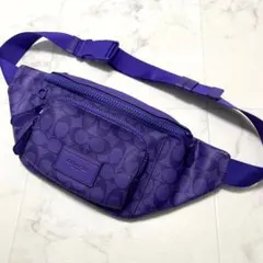 2026年最新】COACH カラー：パープル系 メンズ ボディバッグ・ウエスト 