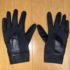 Item thumbnail for item d9506527-25fa-4908-911c-9833c496d5aa