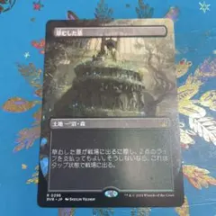 草むした墓 ボーダーレス MTG日本語