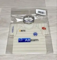 サッカー モンテディオ山形 カーサイン ユニフォーム型 グッズ 2nd 新品
