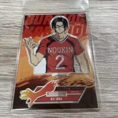 井浦慶 アクスタ ドンキ