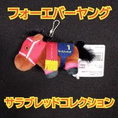 サラブレッドコレクション フォーエバーヤング　ぷちマスコットボールチェーン　競馬