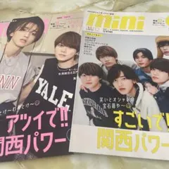 mini 2022 12月号 mini 2023 8月号 まとめ売り
