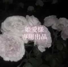 姫愛 様専用出品のサムネイル