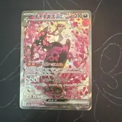 2026年最新】キチキギス SARの人気アイテム - メルカリ