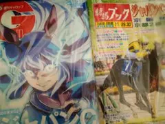 最新刊 週刊ギャロップ11/30号 週刊競馬ブック11/29、11/30日号