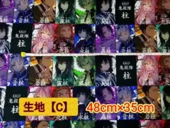 鬼滅の刃【C】 キャラクター生地 はぎれ　ハギレ