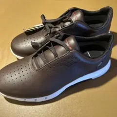 ECCO M Golf Cool 18 ゴアテックスゴルフシューズ グレー 26 - メルカリ