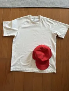 Item thumbnail for item 42c26071-1716-44a7-93ae-373b33103235