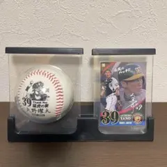 阪神タイガース 金本知憲300号400号本塁打、701、904試合出場記念
