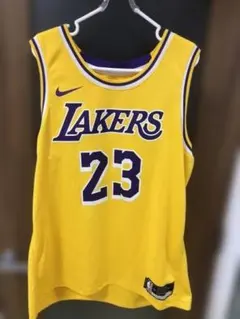Los Angeles Lakers NBA Lebron James